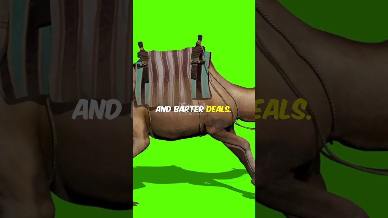 India's Ancient Trading Secrets Revealed