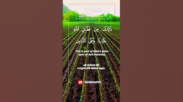 12 ) Surah Yusuf ‎سورة يوسف ‎-(Joseph AS) 12:38-39 #কুরআন #তেলওয়াত