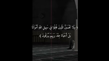 ولا تحسبن الذين قتلوا في سبيل الله - سورة آل عمران - آية ١٦٩،١٧٠ #القرآن_الكريم #اكسبلور #المصحف