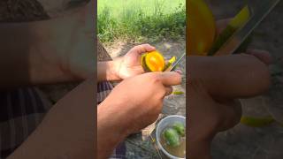 চাঁপাইনবাবগঞ্জের সেরা আম খেতে কমেন্ট করুন এখনই! #mango #shop