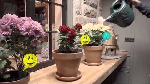 Daisy Sensor and app Kickstarter Explainer Video