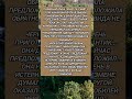 #история #историиизжизни #кольцо #предложение #ревность #истерика #смешное