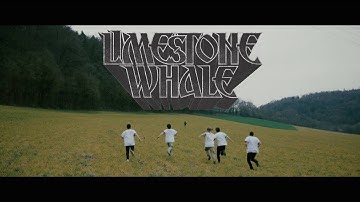 Limestone Whale - Paralyzed in Paradise (official video)