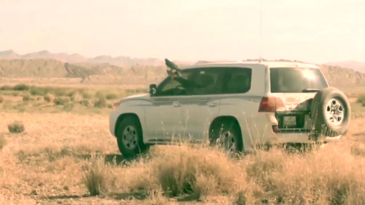 قصيدة الطير - محمد بن اسلوم