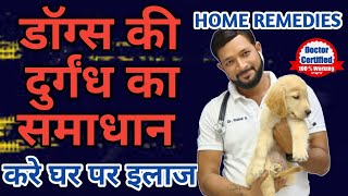 How To Remove Dog Bad Smell | Odour | Problem Causes | Solution | Home Remedies In Hindi screenshot 5