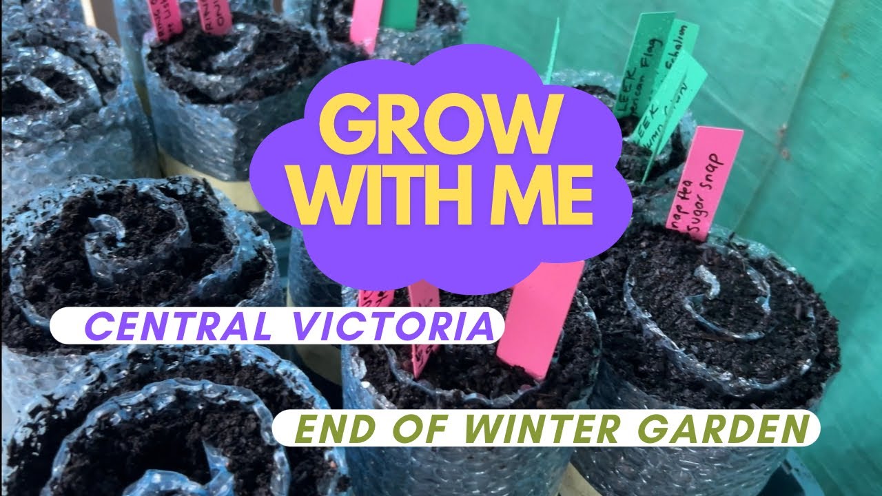 Seed snails, preparing for a Spring Garden 