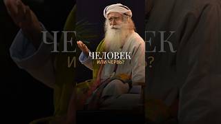 Вы созданы не только для выживания #Садхгуру #Человек #Осознанность
