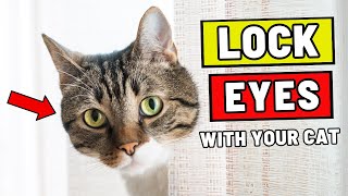 THIS Happens When You and Your Cat Lock Eyes