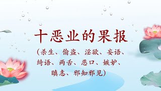 卢军宏台长：十恶业的果报