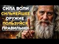 Сила Воли Люди Не Умеют Ей Пользоваться!