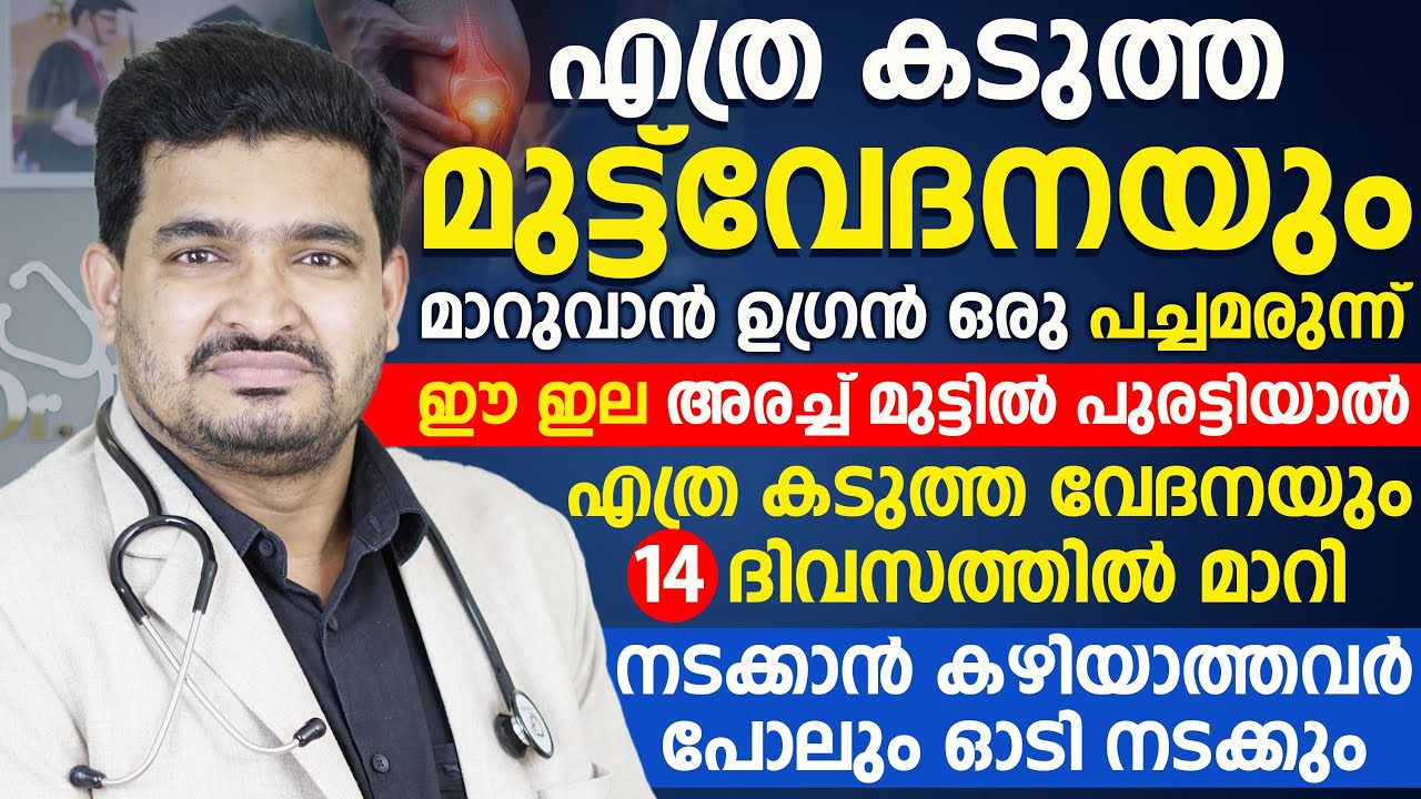എത്ര കടുത്ത മുട്ട് വേദനയും പൂർണ്ണമായും മാറാൻ ഉഗ്രൻ പച്ചമരുന്ന്| ഈ ഇല അരച്ച് മുട്ടിൽ പുരട്ടിയാൽ മതി