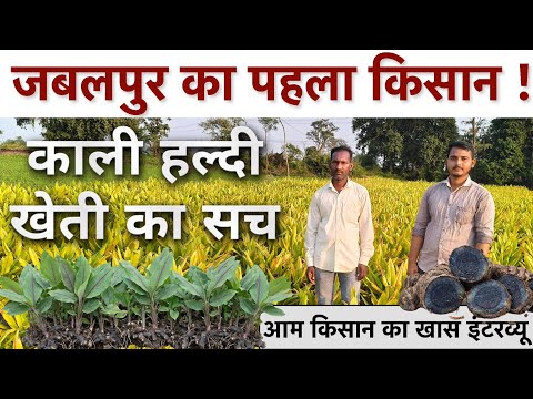 Kali Haldi Black Turmeric