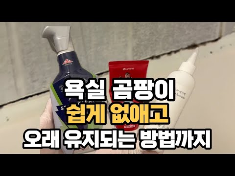 욕실 곰팡이는 이걸로 없애세요│아스토니쉬, 홈스타, 생활공작소 직접 써본 솔직 리뷰