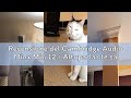 Recensione del Cambridge Audio Minx Min 12 - Altoparlante satellite cablato compatto con tecnologia
