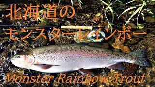 北海道には素晴らしいニジマスがいます！極寒の厳しい自然の中で力強く育ったモンスターレインボー達をご紹介します Monster rainbow trouts in Hokkaido Flyfishing