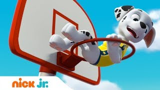 Мультик Щенячий патруль Щенки спасают баскетбольный матч Nick Jr Россия