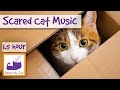 Soothing Music for Scared Cats - Music to Help Your Cat Relax! Soothing Music for Cats