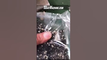 Automatic Mini Packing Machine With 2 Head Linear Weigher For Granular Grain