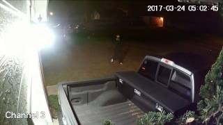 Goose Creek Police see vehicle break-in suspect