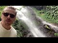 A DAY IN THE JUNGLE