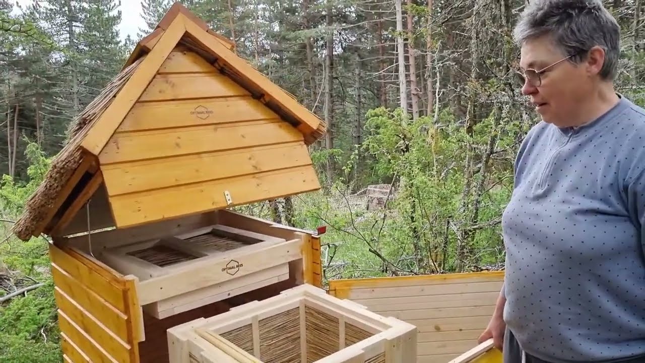 La ruche danoise bis...