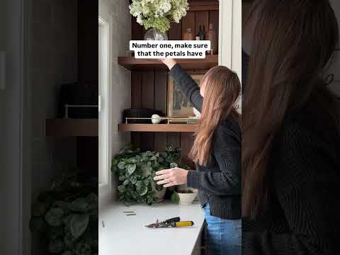 BEAUTIFUL CHERRY BLOSSOM 🌸 #shortsvideo