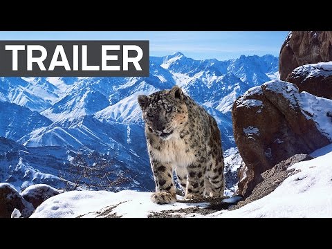 Video Planet Earth II: Official Extended Trailer | BBC Earth