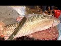 Big Mrigal Fish Cleaning & Chopping By Expert Fish Cutter | Fish Cutting Skills