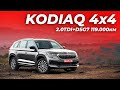 Skoda Kodiaq 4х4 2019 - Перевірка і пригон з Німеччини в Україну