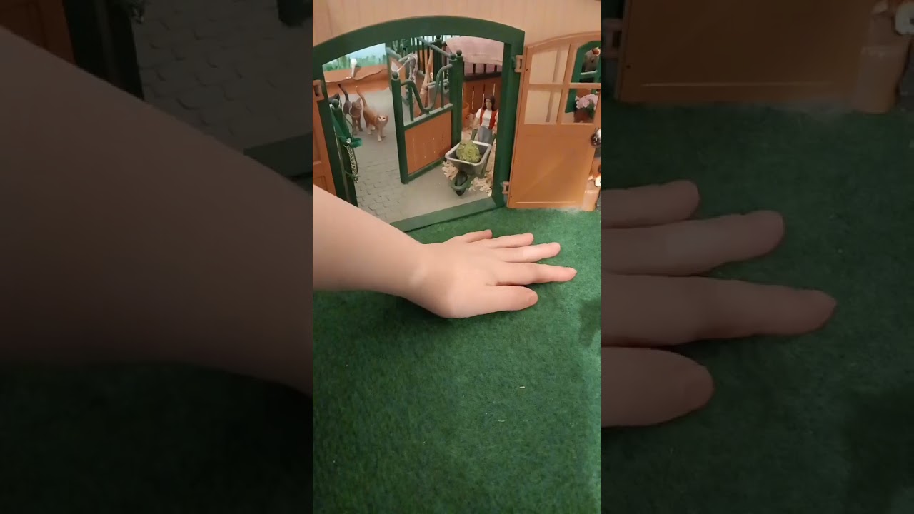 Why❔️ || Schleich Pferde 