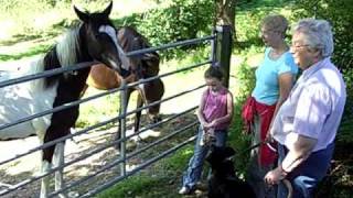 Emily Feeding Horses