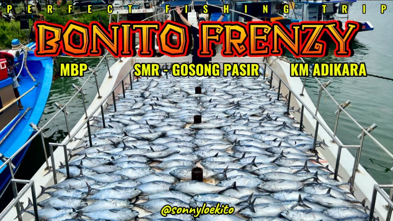 Bonito Frenzy | KM Adikara | MBP