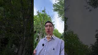 1C Buxgalteriya va Soliq kurslari. +998 88 513 05 00