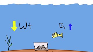 What Makes an Object Sink or Float? | Arbor Scientific