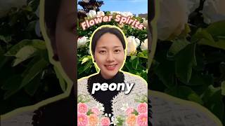 12 flower spirit-牡丹