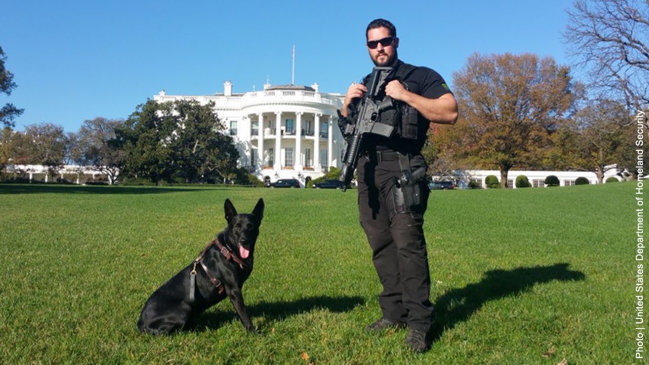 what kind of dogs guard the white house
