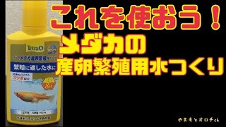 産卵させたい❗️これを使えばいいのか⁉️メダカ産卵繁殖用水つくり#メダカ#産卵#テトラ