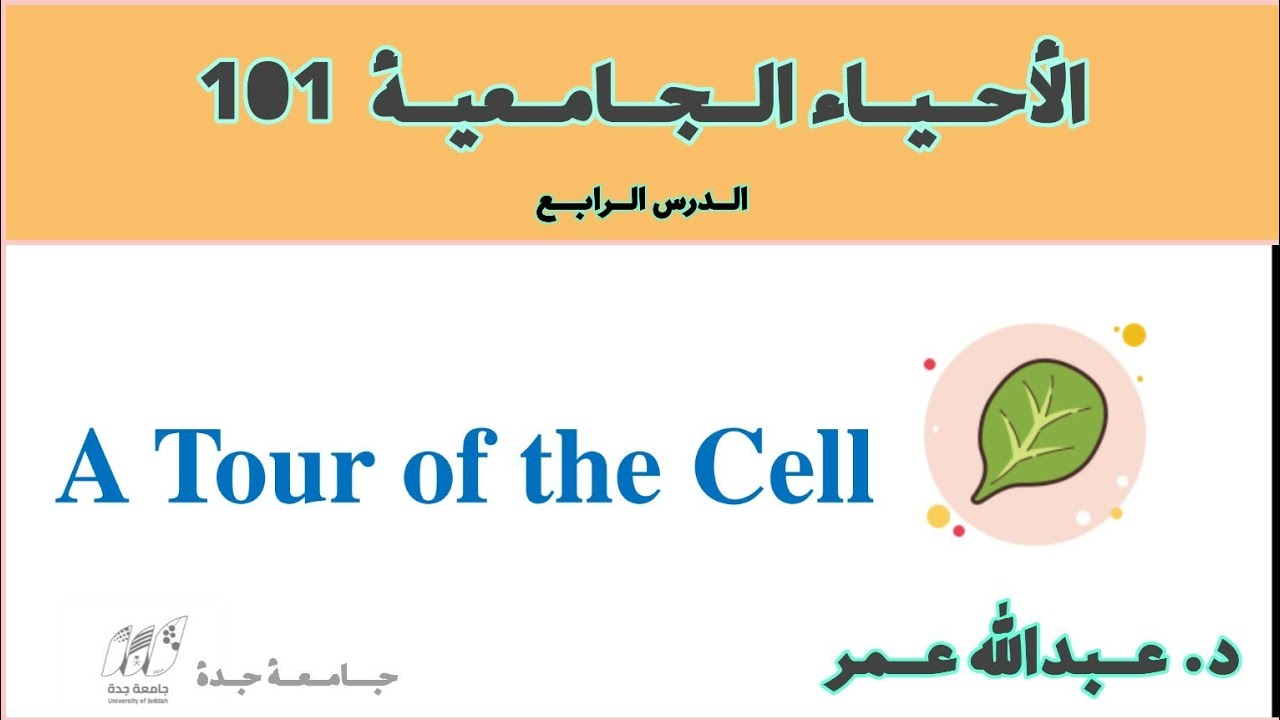 A Tour Of The Cell a-tour-of-the-cell