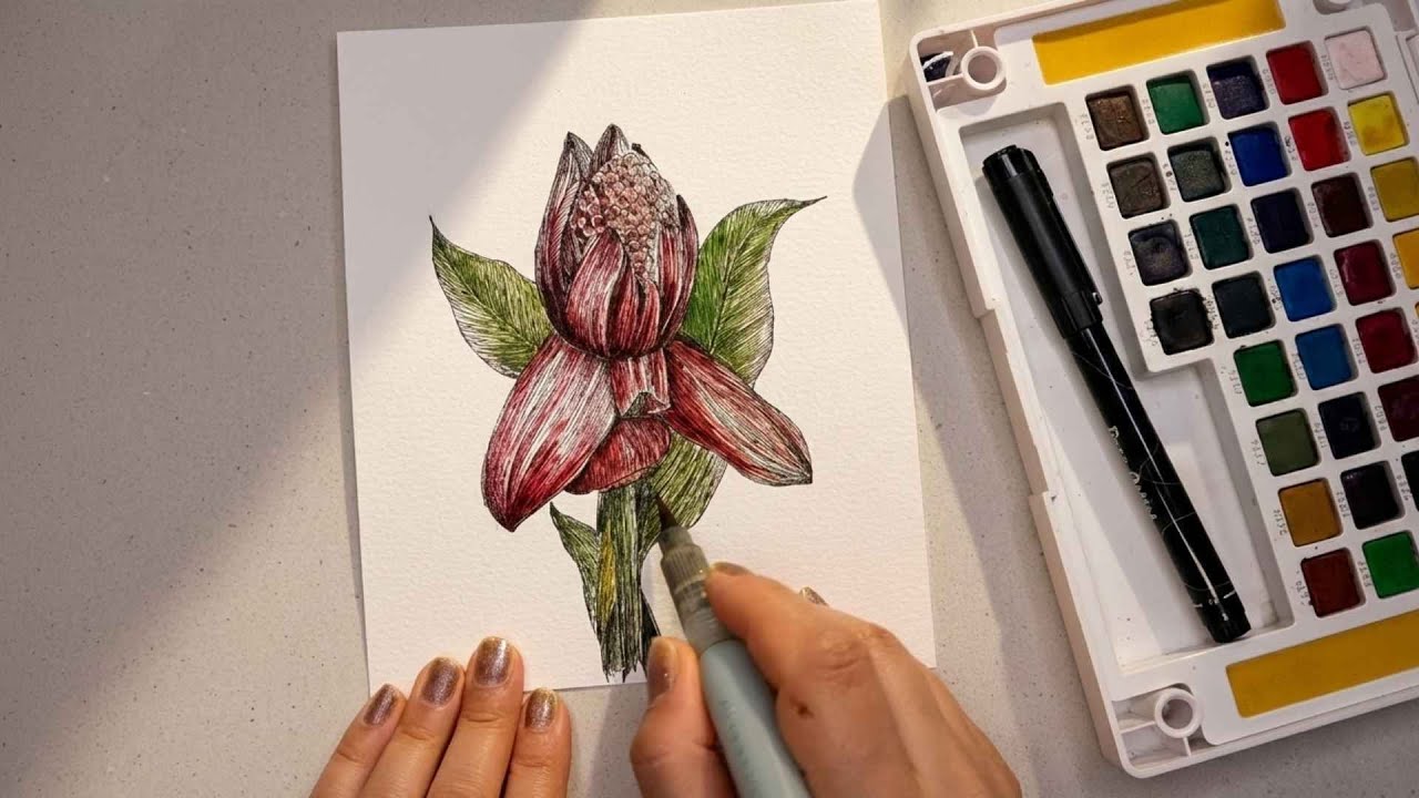 How to Draw Torch Ginger Flower 🌺 | Easy Step-by-Step Pen Sketch for Beginners