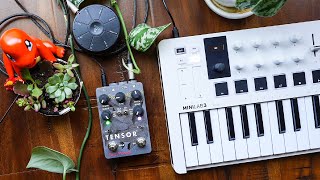 A Pedal You Need In Your Sampling Setup Better Time-Stretching Than The 404