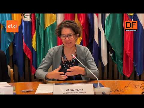 Ministra Rojas y EDA 2024: “Tenemos que seguir avanzando en normas y regulando" al medio ambiente
