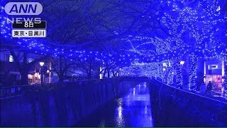 目黒川「青の洞窟」点灯「土日祝」中止　見物客殺到(14/12/12)