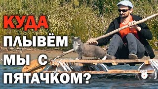 Куда плывем мы с Пятачком? 📷 КОТОМОМЕНТЫ! Куда плывем мы с Пятачком? 📷 КОТОМОМЕНТЫ!