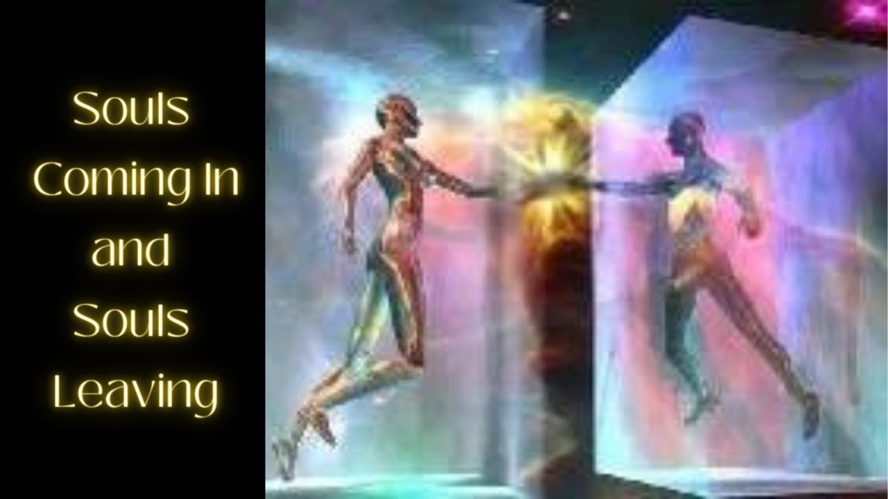 Walk Ins and Walk Outs What is to Come in the Future? YouTube