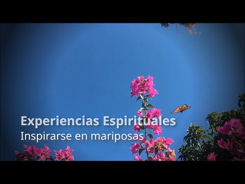 EXPERIENCIAS ESPIRITUALES. INSPIRARSE EN MARIPOSAS