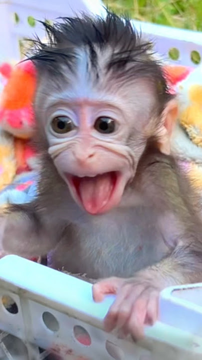 “Baby Yumi Cries… Until She Finally Gets the Hug She Wants 😭❤️”