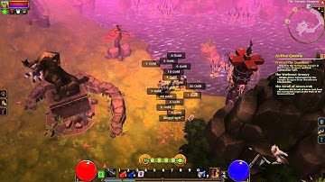 Torchlight 2: Gameplay