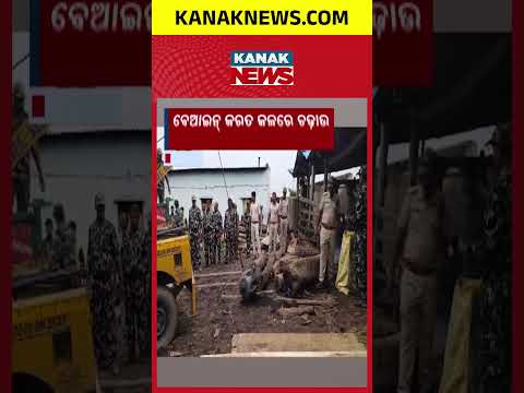 Strict Raid On Illegal Sawmills! Huge Forest Department Crackdown In Puri