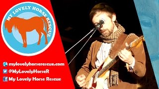 Video thumbnail of "Neil Hannon - My Lovely Horse"