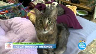 The Cat House on the Kings Tour Part 6